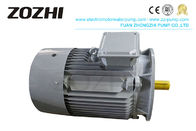 Cast Iron Asynchronous Three Phase Electric Motor IE3-801-2 0.75KW For General Driving