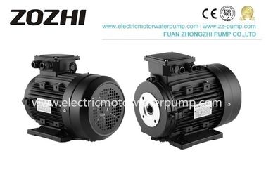 24mm Torque Hollow Shaft Motor  112M2-4 5.5KW 7.5HP With Plunger Pumps 4 Pole