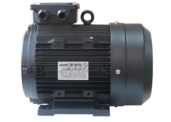 Clockwise Rotation 24mm 220-380V IE2 Hollow Shaft Motor