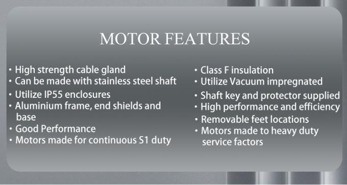 Yüzme Havuzu Pompası 2800rpm Tek Fazlı Asenkron Motor, Su Geçirmez Alüminyum Gövde ve 220V 50Hz Frekans 4
