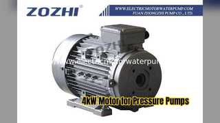 Yüksek Basınç Pompaları için 4kW Delik Şaftlı Motor