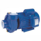 Single Impeller Centrifugal Domestic Water Pumps 0.75HP For Household Watering