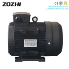 2.2kw 7.5kw 11kw 15kw Hollow Shaft Motor for High Pressure Washer
