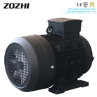 3kw 5.5kw 7.5kw 11kw 15kw Hollow Shaft Motor With AR Hawk Comet Udor Pump For High Pressure Washer