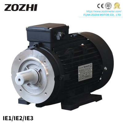 MS100L1-4 Aluminum 2.2KW 3HP Three Phase Ac Motor S1 Duty