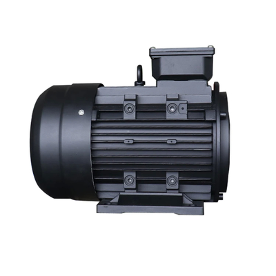 1450rpm Industrial Hollow Shaft Electric Motor Optimal IP55 Protection For Extreme Temperatures