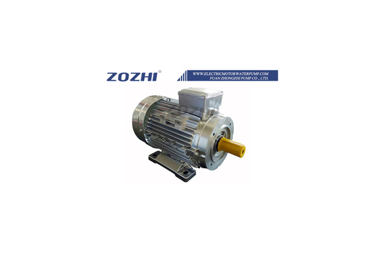 MS100L1-4 Aluminum 2.2KW 3HP Three Phase Ac Motor S1 Duty