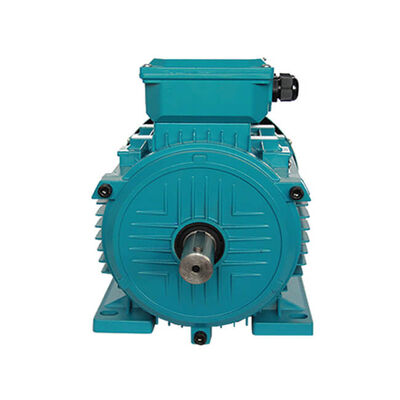 20m 3 Phase Induction Motor Featuring Insulation Class H Suitable for High Temperature Environments and Continuous Duty