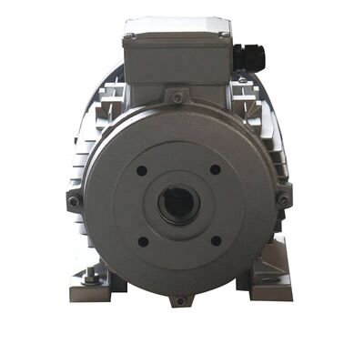 2hp 1.5kw Hollow Shaft Motor Current 8.8A Speed Range 1500 RPM suitable for robotic automation and conveyor applications