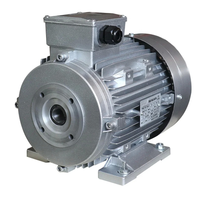 2.2kw 4kw 5.5kw 7.5kw Üç Fazlı Çürük Çubuklu AC Elektrikli Çamaşır Makinesinin Basınç Pompası Motoru