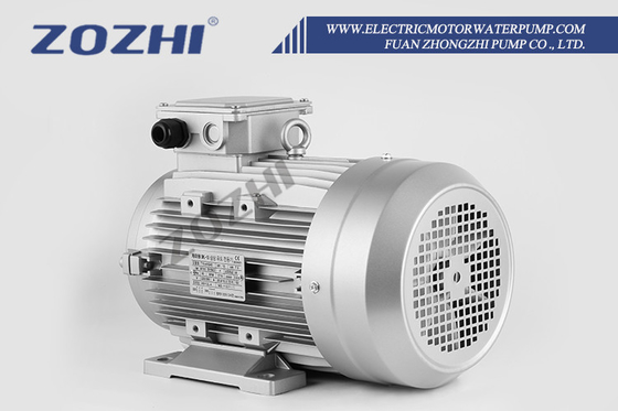 Ticari Temizlik Makineleri için 7KW AR Interpump'lu Çürük Çaplı Motor