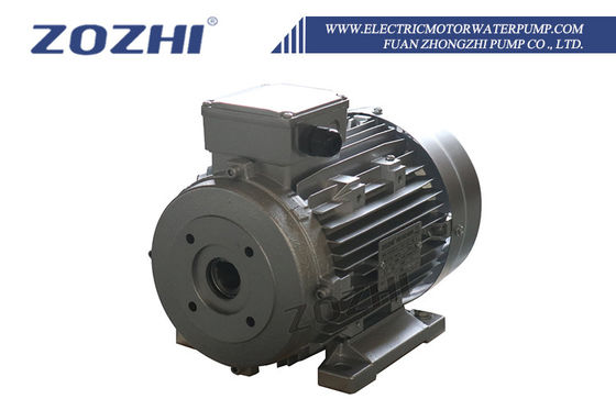 24 mm boş şaft elektrik motoru 5.5kw 380V ZOZHI markası 1400rpm IE1 IE2
