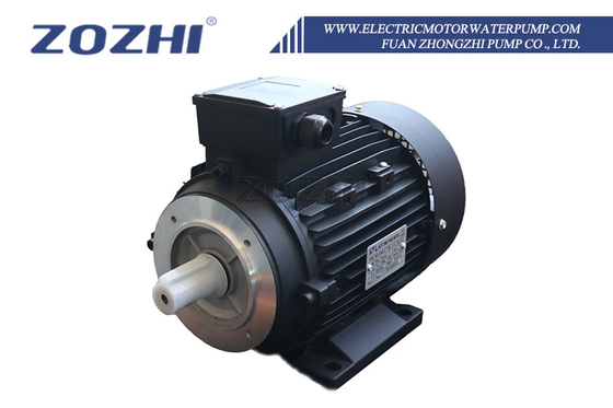 Industrial Grade 3 Phase Induction Motor with Rated Voltage 220V/380V/440V/550V/660V