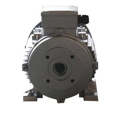 ZOZHI 5.5KW Hawk Pompa Interpump Ar Pompa için Boş Şaft Motoru IMB3/IMB5 Montajlı Üç Fazlı Asenkron Motor