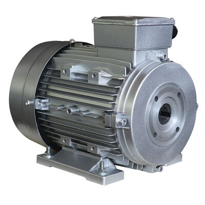 1.5 Kg Hollow Shaft AC Motor with IP55 Enclosure Designed to Meet Rigorous Industrial Standards and Performance Criteria