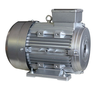 Power Range 5.5KW 7.5HP Hollow Shaft Motor Featuring 24mm Shaft Speed Range 1400 1500 RPM Ideal for Packaging Automation